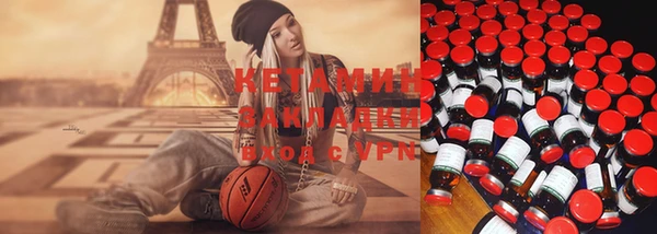 apvp Няндома
