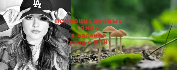 apvp Няндома