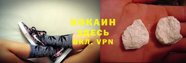 apvp Няндома
