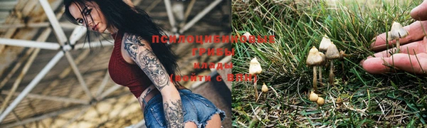 apvp Няндома
