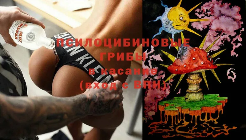 Галлюциногенные грибы Cubensis  Серафимович 